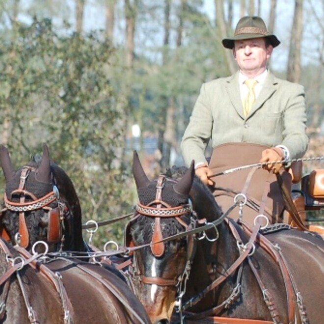 Beekbergen, dressuur vierspan paarden