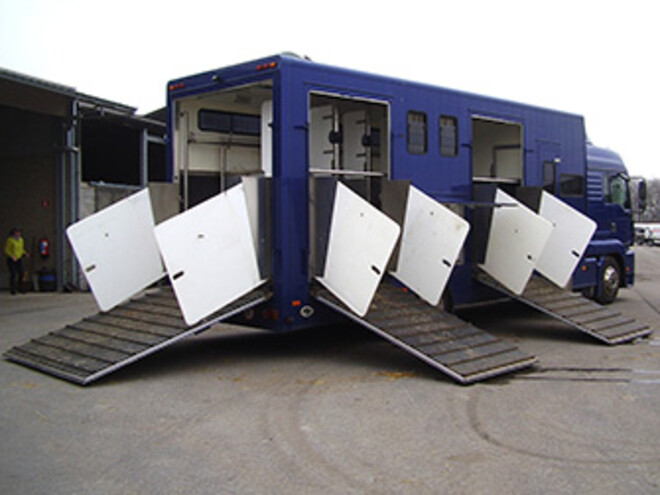 MAN - 7 paarden te koop