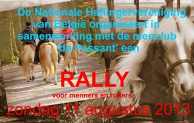 Oud-Heverlee, rally voor menners en ruiters - 11 augustus