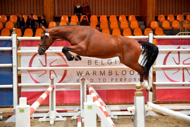 Top editie Flanders Free Jump 2018
