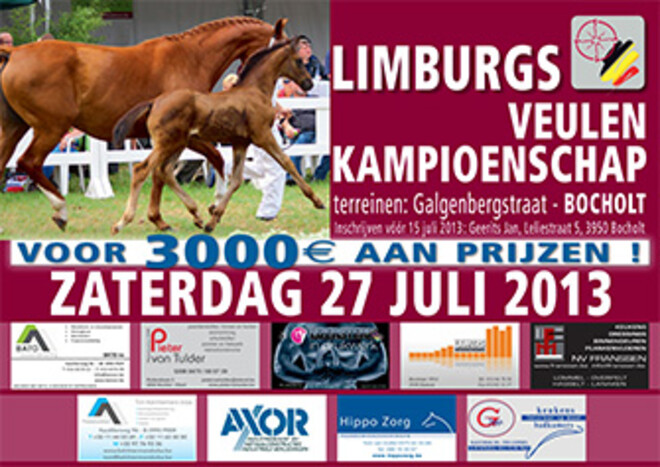 Schrijf u nu nog in voor de BWP-prijskamp en veulenkampioenschap Limburg!