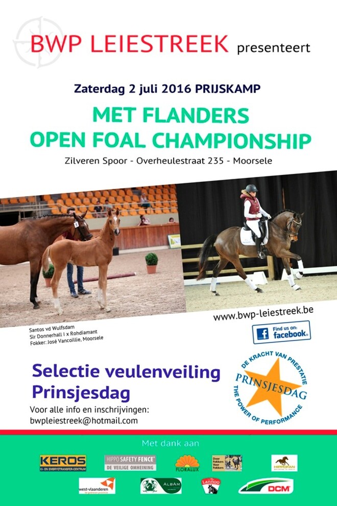 BWP Leiestreek organiseert Foal Championship