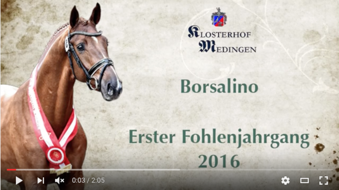 Videocompilatie eerste jaargang Borsalino