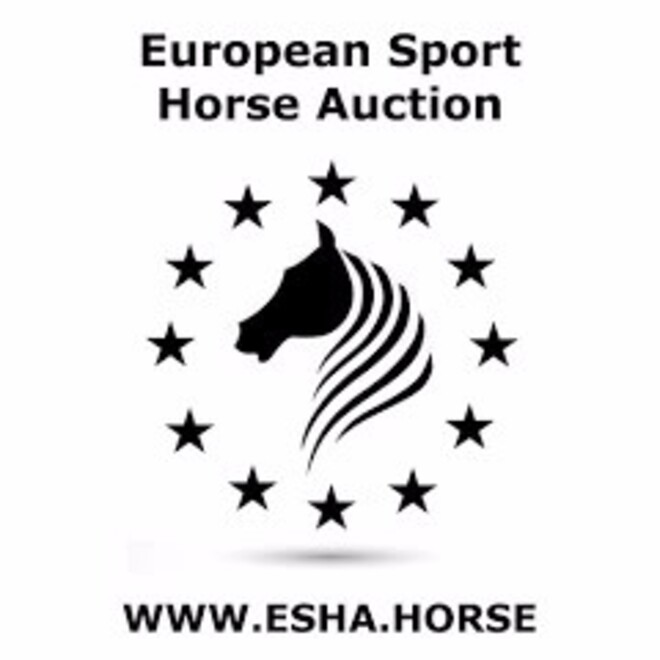 ESHA – The Foal Edition