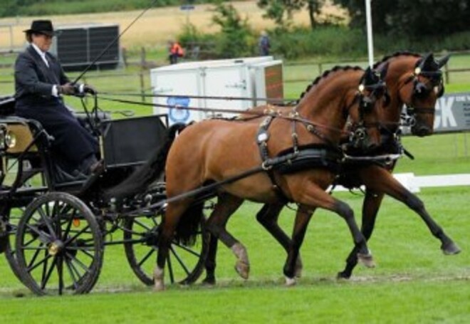 Vol deelnemersveld op Paardenspektakel Beekbergen