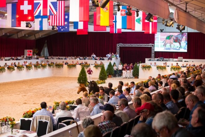 Philippaerts & Spronken kopen veilingtopper