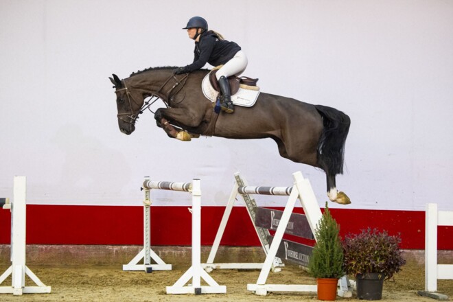 Cupido schiet raak in Youhorse.auction
