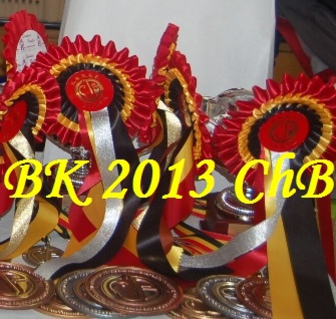 Belgisch Kampioenschap 2013 Championnat de Belgique - update