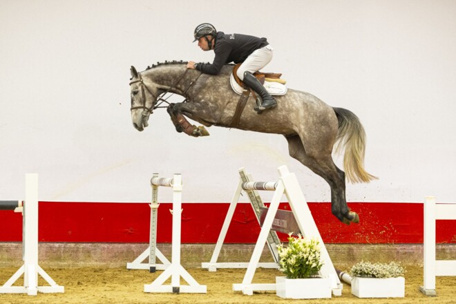 Youhorse.auction sterk van start, vanavond deel 2