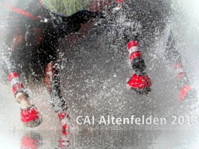 Dossier Altenfelden (AUS) CAI-A 1-2-4 WCupQ-CAIP-A 1-2-4 - 19-23/06/2013
