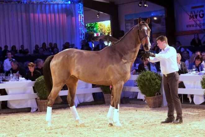 Holger Hetzel’s topper Halleluja: € 500.000