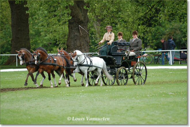 Windsor, 2de dressuurplaats voor Tinne Bax