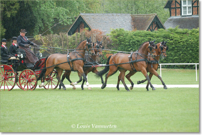 Windsor, 4de dressuurplaats voor FM Brasseur