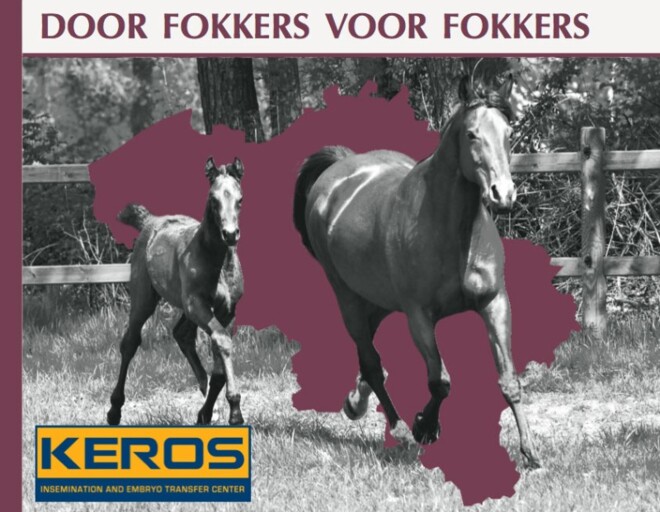 Bezoek aan Keros