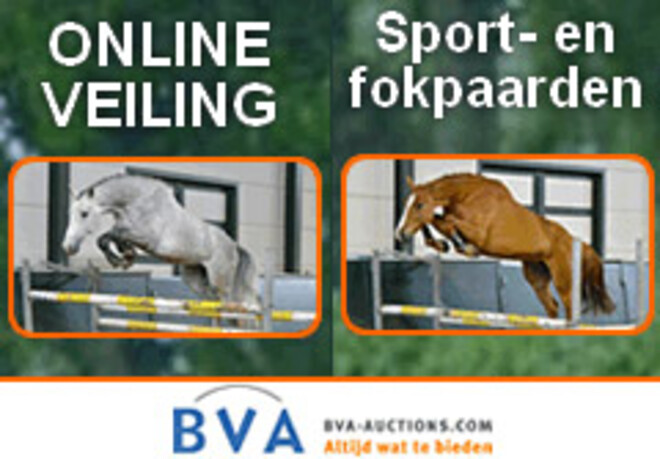 Online veiling sport- en fokpaarden ?Stoeterij Musterd?