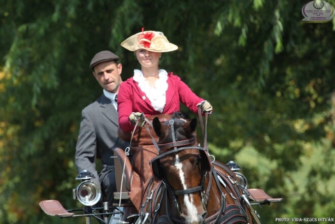 Kisbér-Ászár foto's dressuur en marathon