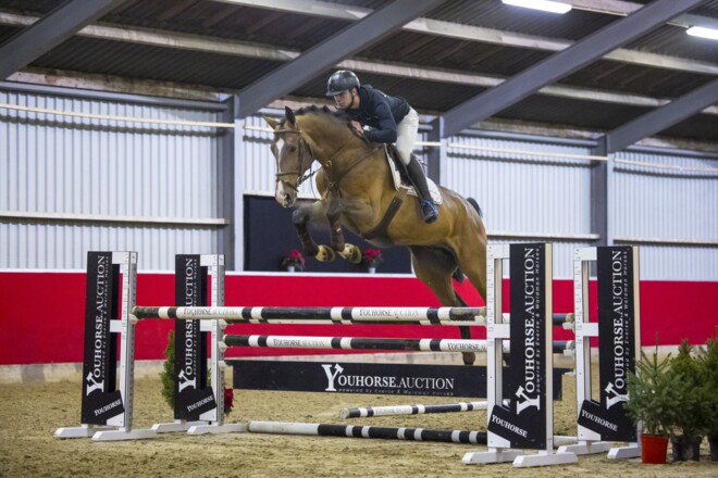 Verdi-zoon Ongering stijgt naar 65.000 euro in Youhorse.Auction