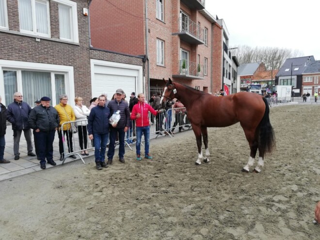Promotieprijskamp BWP Zuid-Oost-Vlaanderen