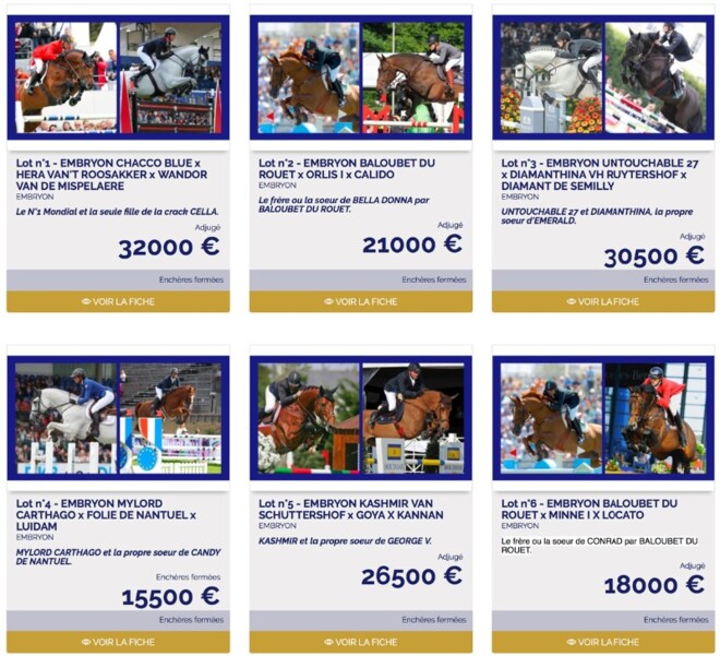 Hoge prijzen op de embryoveiling Fences Web