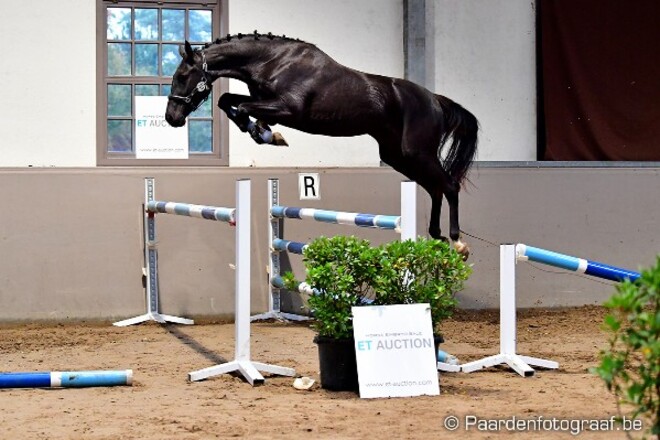 Di Cantero, Aganix & Mosito leveren winnaars