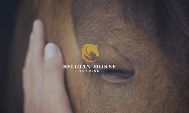 4/11 om 17u: presentatie veilingpaarden BYT