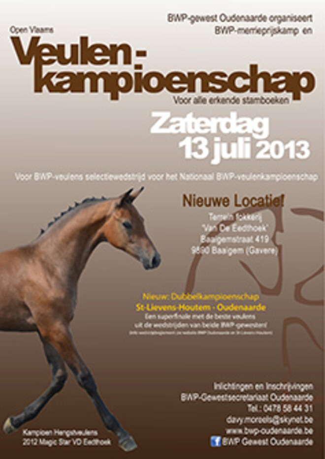Open Vlaams BWP-veulenkampioenschap
