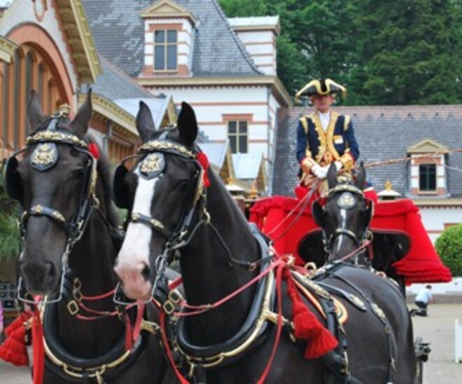 Paarden  van de Koning op Paleis het Loo