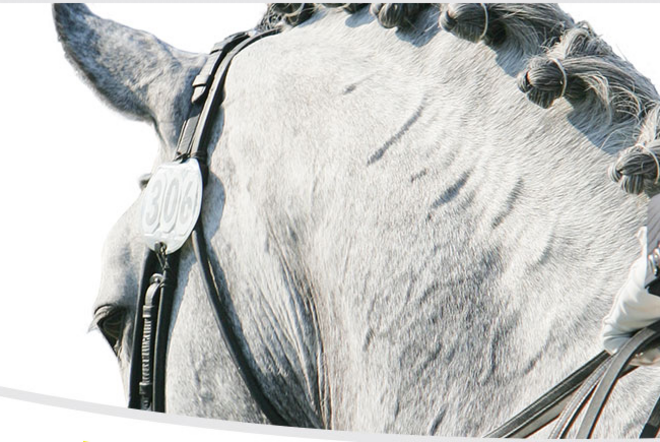 Topdressuursport bij Flanders Dressage Event