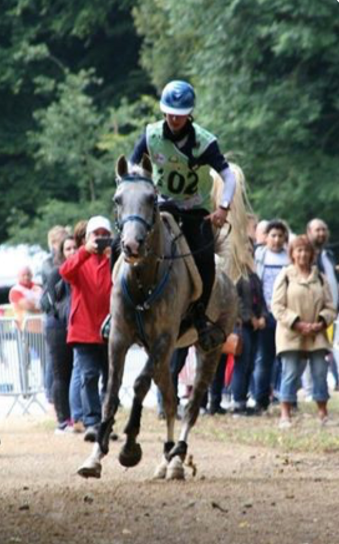 EK en WK Jonge paarden Endurance