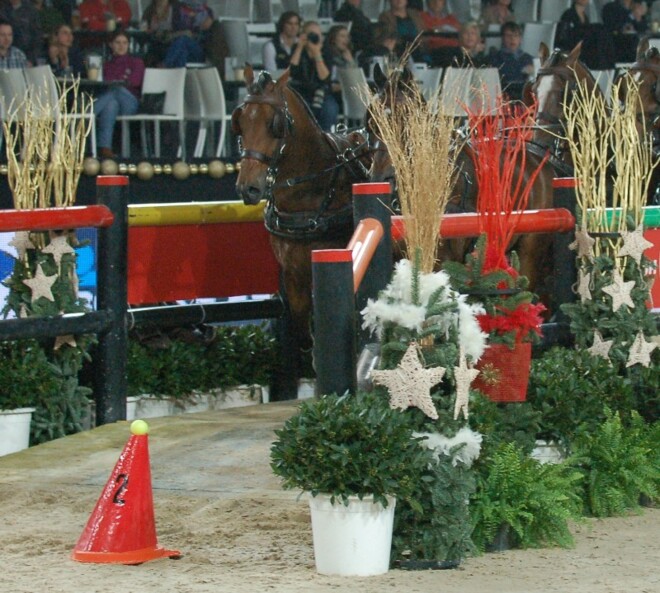 Mechelen, video's winnende ronde