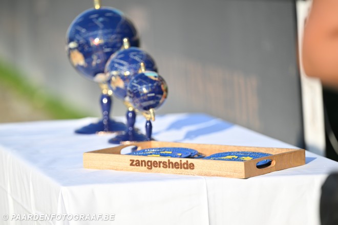 Belgisch talent schittert in Lanaken: Wie sprong zich al in de kijker bij de jonge paarden?