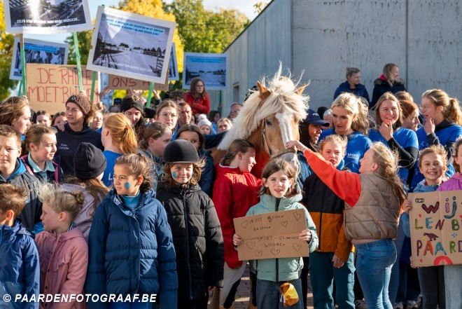 “In Woumen leerden we meer dan paardrijden. We leerden thuiskomen”