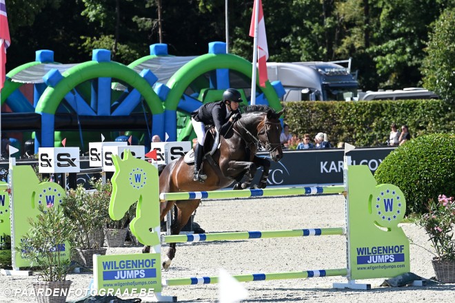 Belgische jonge paarden laten de zon nóg feller schijnen in Oliva