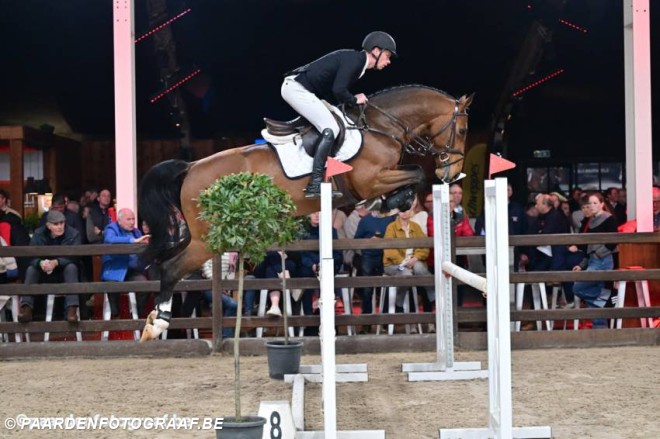 241 hengsten aan de start van de EquiLannoo Belgian Stallion Competion 2026