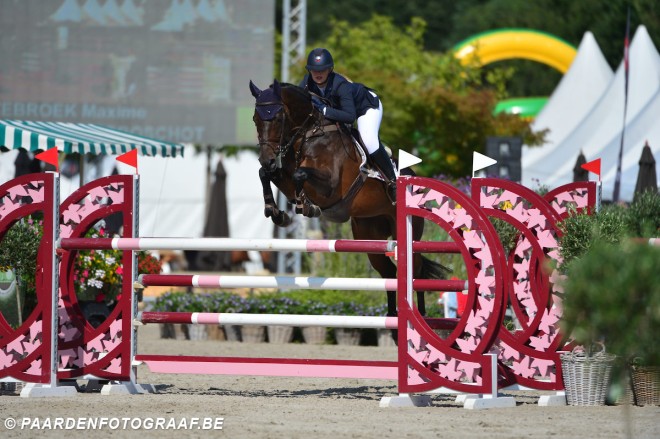 Belgen pakken meerdere podiumplaatsen in Bonheiden bij jonge paarden