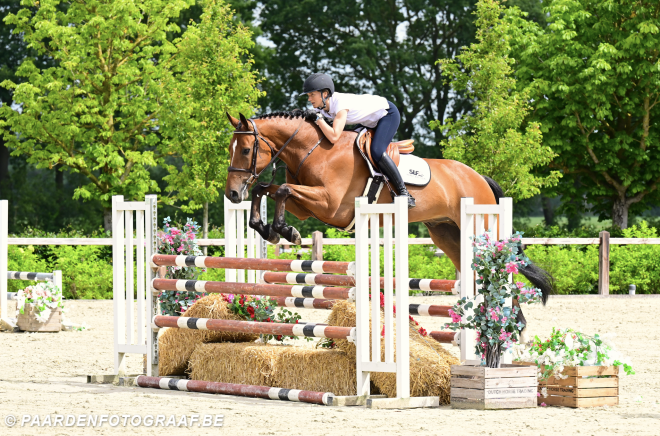 SLF Summer Auction keert terug met een uitstekende collectie veulens, jonge talenten en bewezen sportpaarden