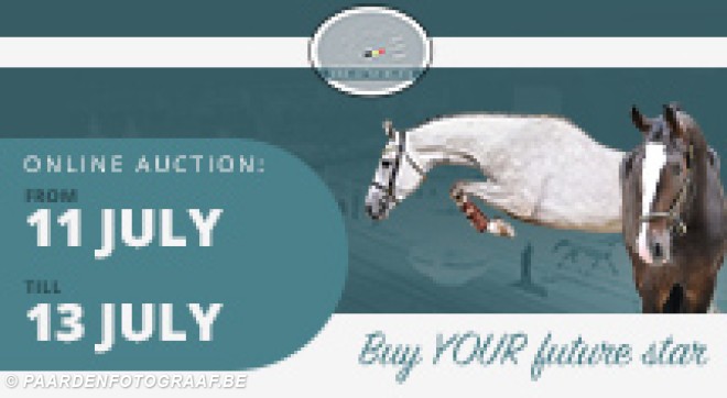 Horse Auction Belgium presenteert een nieuwe collectie van 27 veelbelovende jonge springpaarden