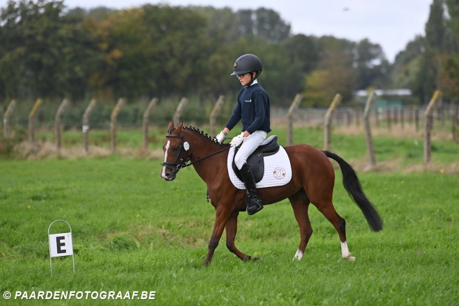 Belgische jeugdpaardenruiters veroveren Europa: topprestaties op EK in meerdere disciplines
