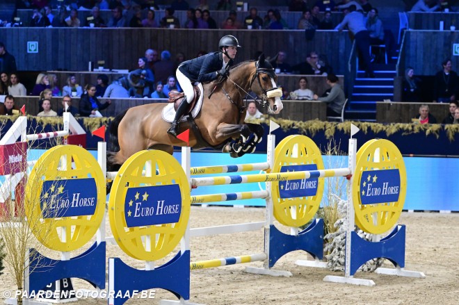 Twee topmerries uit de internationale springsport onder de hamer bij 365 Auctions by Zangersheide