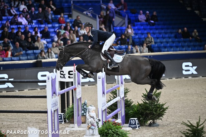 Niels Bruynseels tweede in finale Belgisch Kampioenschap 8-jarige paarden