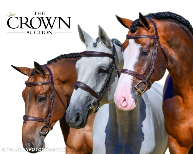 The Crown Auction lanceert eerste collectie