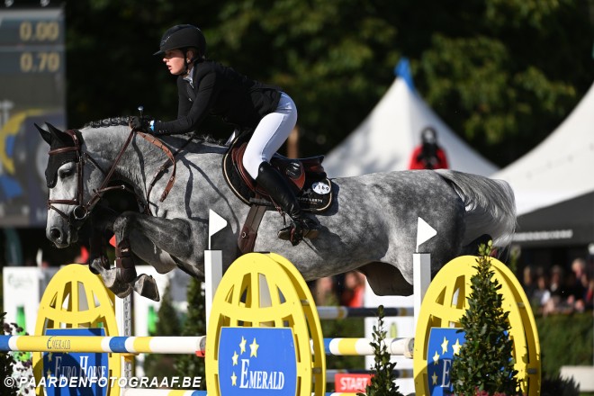 Belgische fokkerij schittert in Peelbergen: twee BWP-paarden springen de top tien binnen