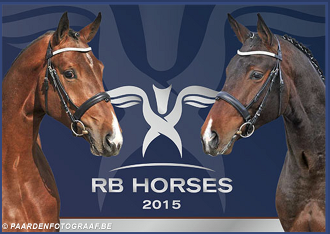 Bekijk de hengsten van RB-horses