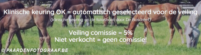 Innovatief concept voor HippoChamp