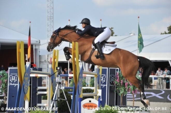 Dakota voor Gazelle in Wellington GP