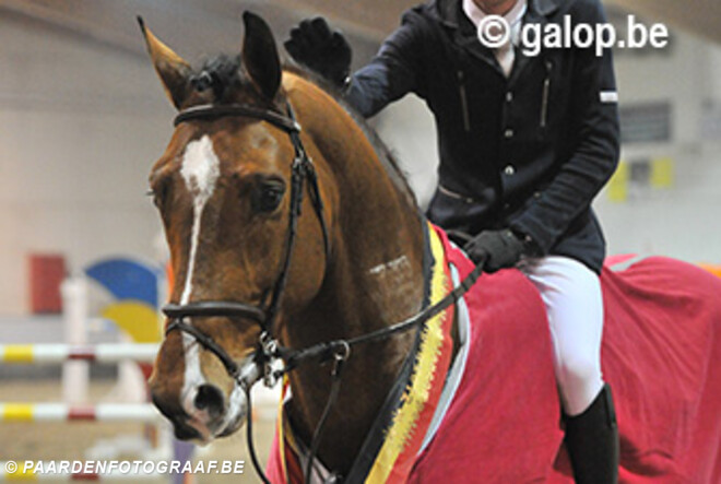 Falco van de Rostal naar Abdel Said