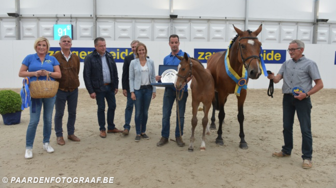 Z-Festival: Cornet en Aganix eerste winnaars