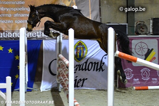 Cambio en Der Senaat winnaars vrijspringen