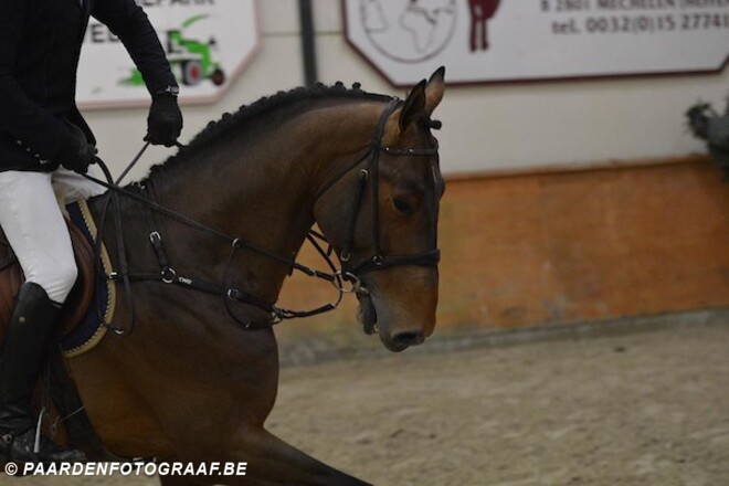 CSI1* Roeser: Bouvy 4de in openingsrubriek!
