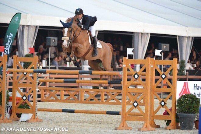 Omzet Z-Ashford Auction bijna 300.000 euro